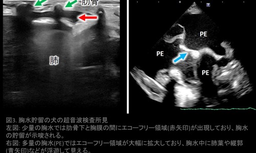 孕妇为什么会小肚子疼的原因-孕妇为什么会肚子疼怎么回事-怀孕为什么肚子会痛,中国孕妇为什么会小肚子疼网站